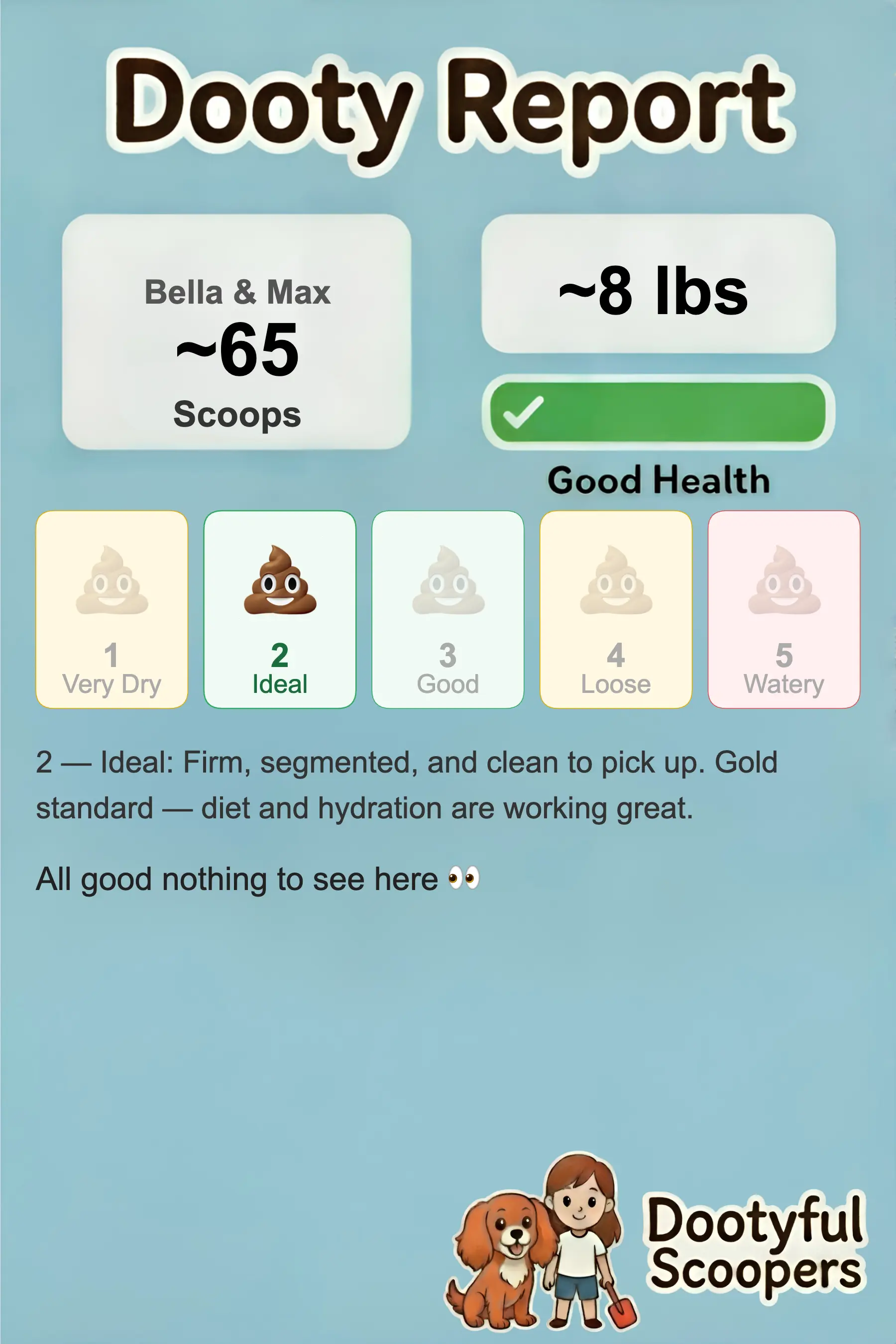 Dooty Report example - green health status, all clear