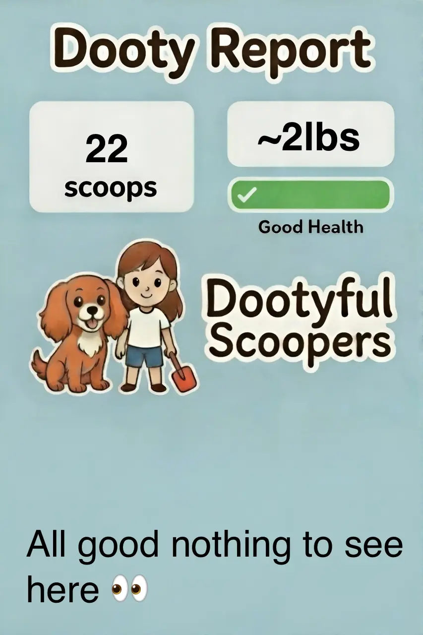 Dooty Report example - green health status, all clear