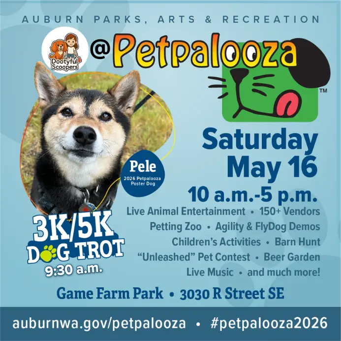 Dootyful Scoopers – Petpalooza 2026